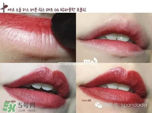 ������ں�ʲô���Ӻã�������ں��Ƽ�